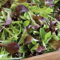 Encore Lettuce Mix