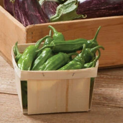 Cheap Thicketly Store -Cheap Thicketly Store 02592 02 mellowstar