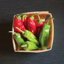 Mellow Star -Cheap Thicketly Store 02592 03 mellowstar