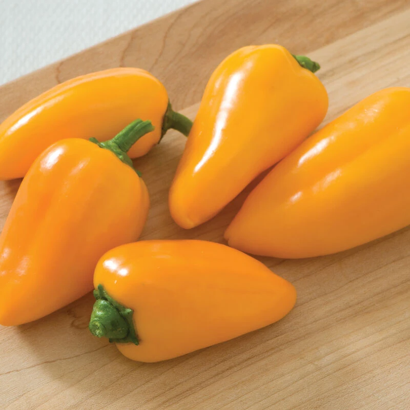 Lunchbox Yellow 2 Lunchbox Yellow - Image 2