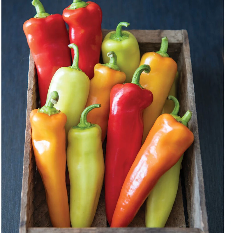 Hungarian Hot Wax 2 Hungarian Hot Wax - Image 2