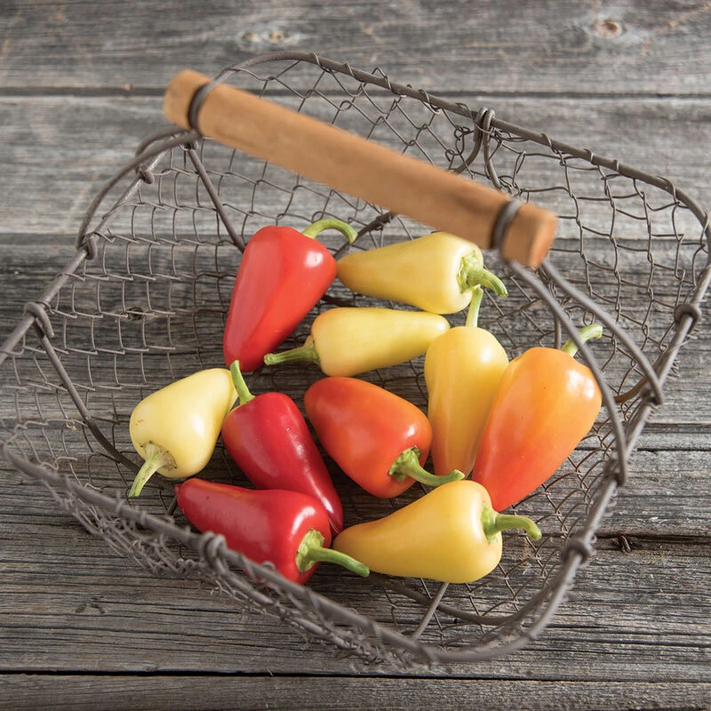 Havasu 3 Havasu - Image 3