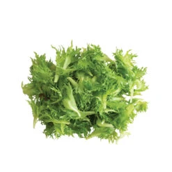 Coastline -Cheap Thicketly Store 03268g 03 coastline