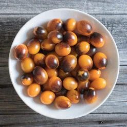 Indigo Kumquat