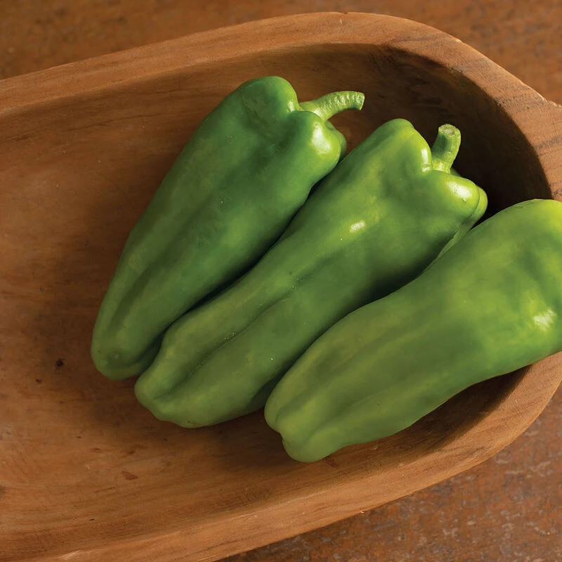 Nassau 2 Nassau - Image 2