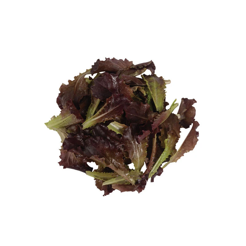 Alboreto 2 Alboreto - Image 2