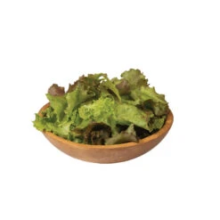 Red Sails -Cheap Thicketly Store 0431g 04 redsails