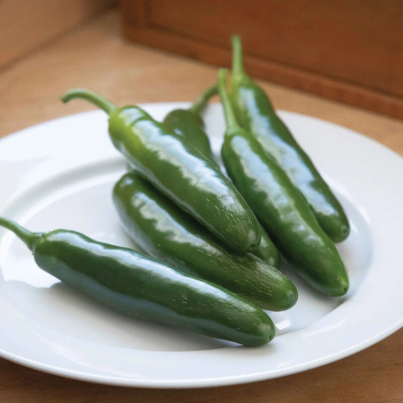 Santo Domingo 1 Santo Domingo