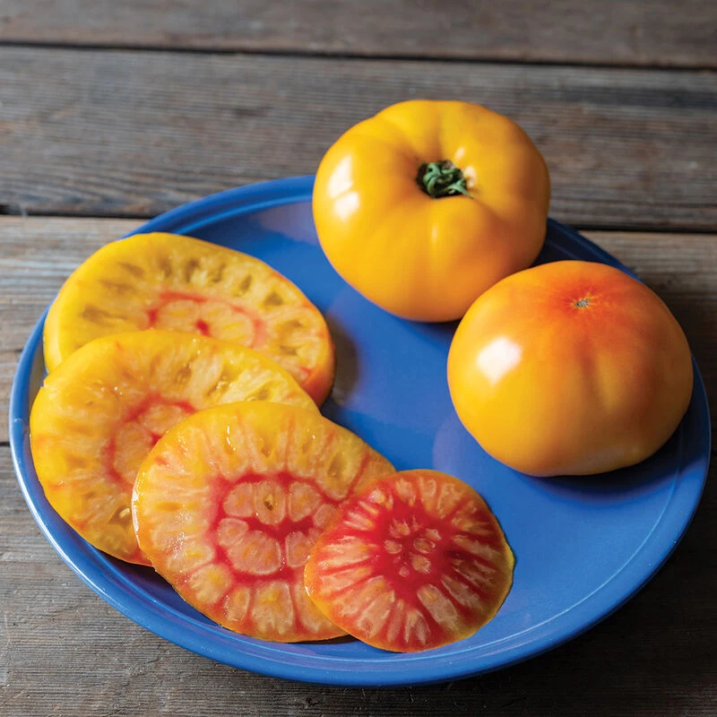 Harvest Moon 1 Harvest Moon