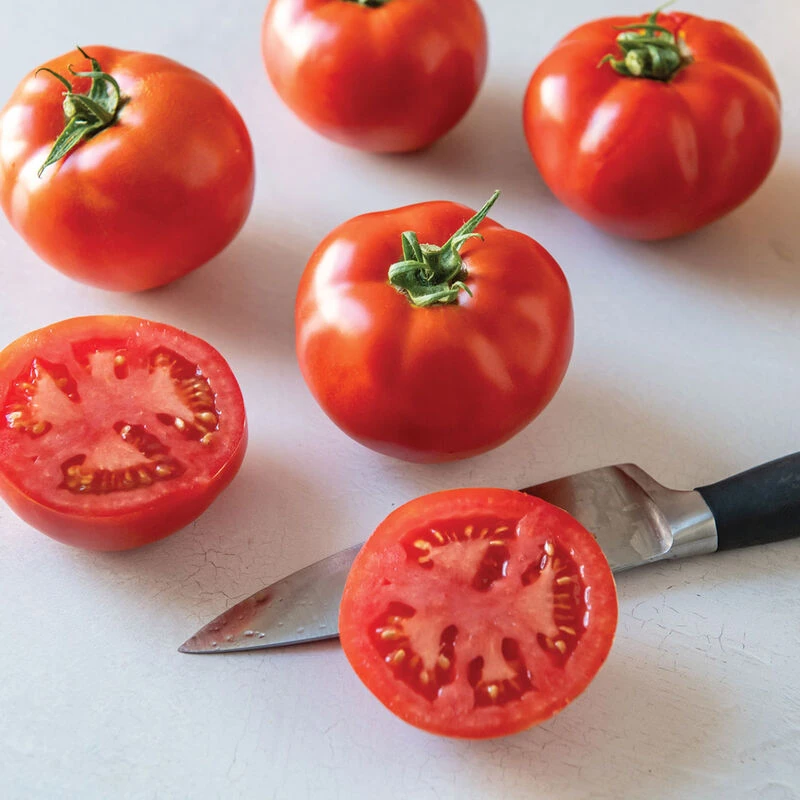 Celebrity Plus 2 Celebrity Plus - Image 2