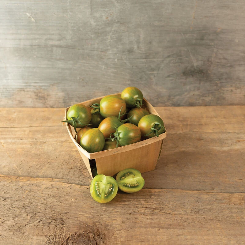 Green Bee 1 Green Bee