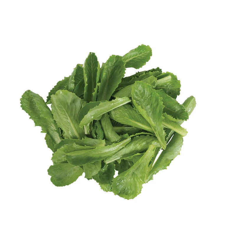 Carlsbad 2 Carlsbad - Image 2