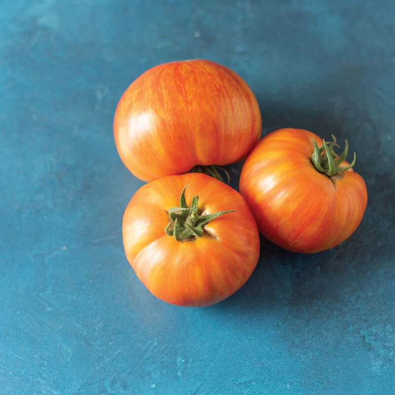 Hot Streak 2 Hot Streak - Image 2