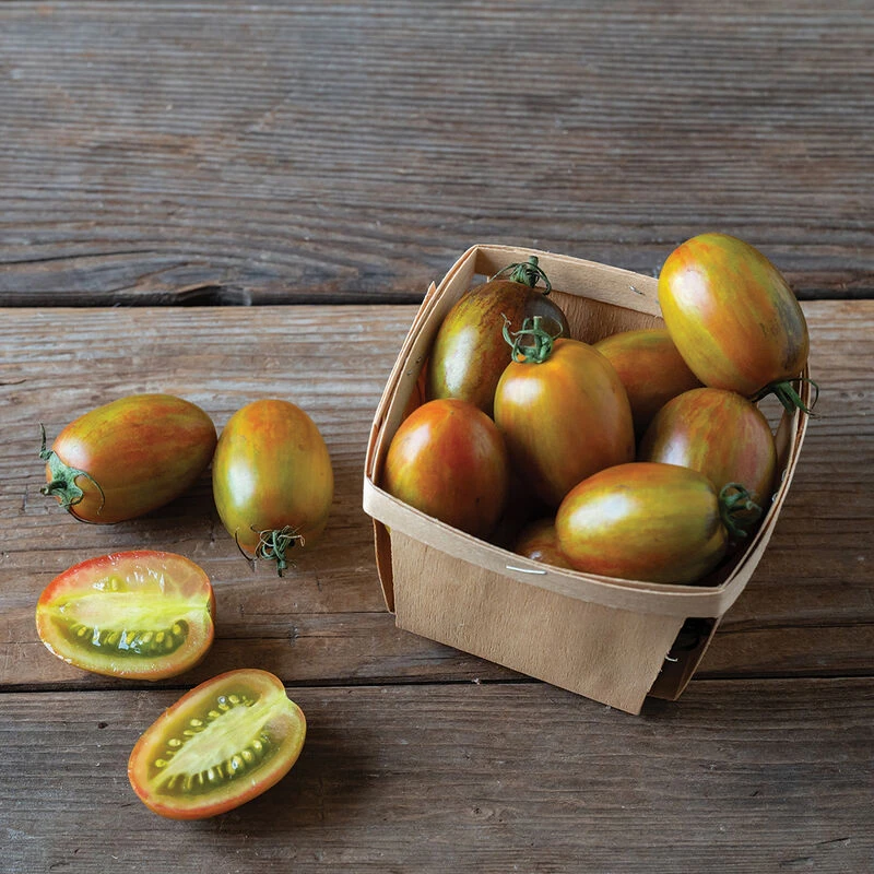 Magic Bullet 1 Magic Bullet