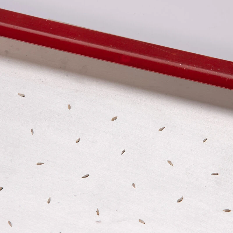 Seed Plate C264 2 Seed Plate C264 - Image 2