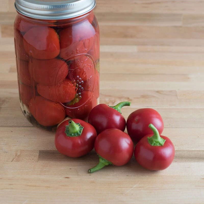 Cheap Thicketly Store -Cheap Thicketly Store 2 1